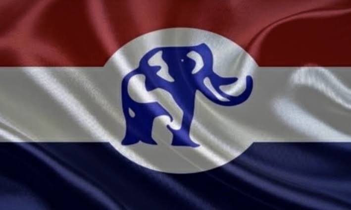 NPP Bars Unverified Online Registrants From Internal Voting    