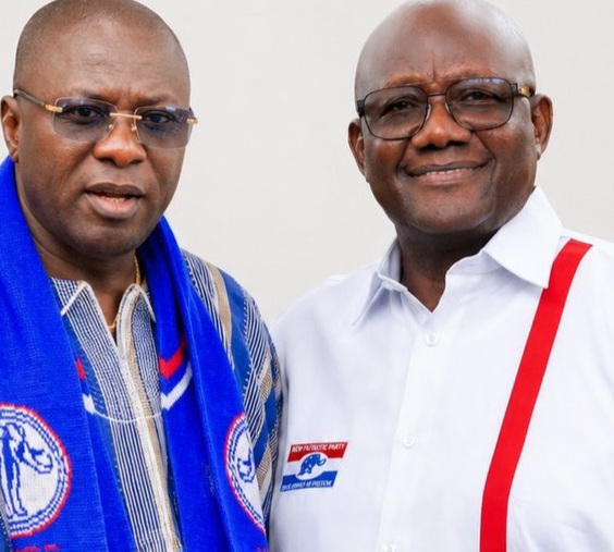 Ex-Finance Minister Backs Afoko For NPP Chairman 