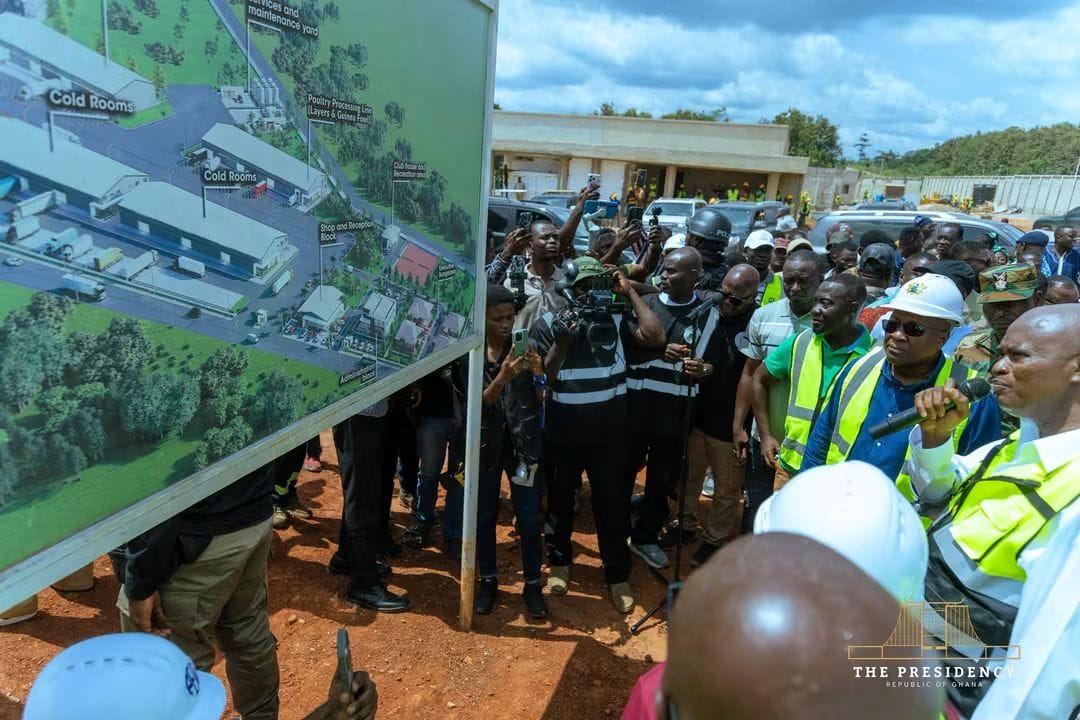 Nkoko Nketenkete Boosts Ghana’s Domestic Poultry Production To 22% — Eric Opoku